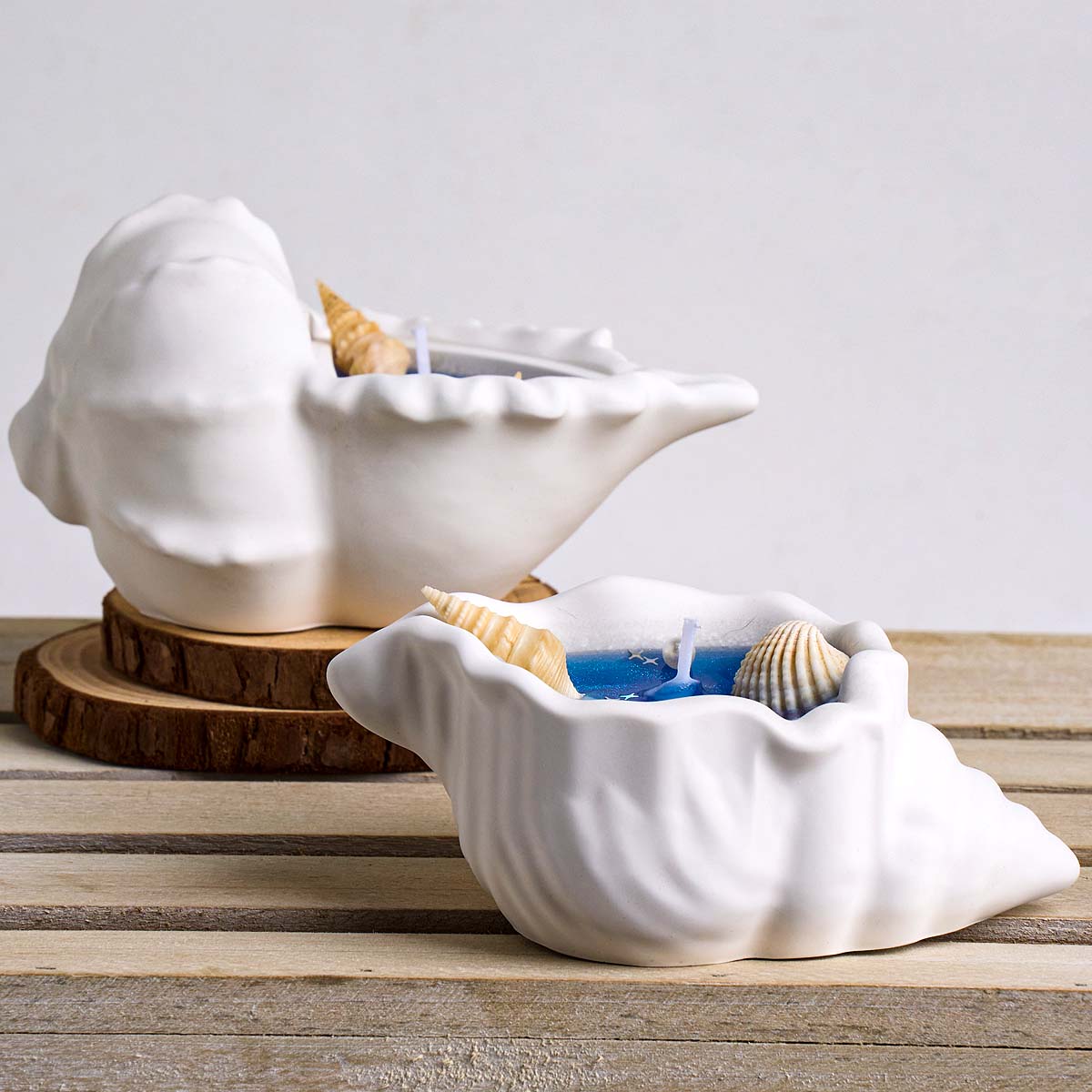 Conch Flowerpot Silicone Mold  - Idli Steamer Mold incelemesi ve fiyatı